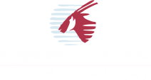 Amalgamated Finance Ltd Ltd